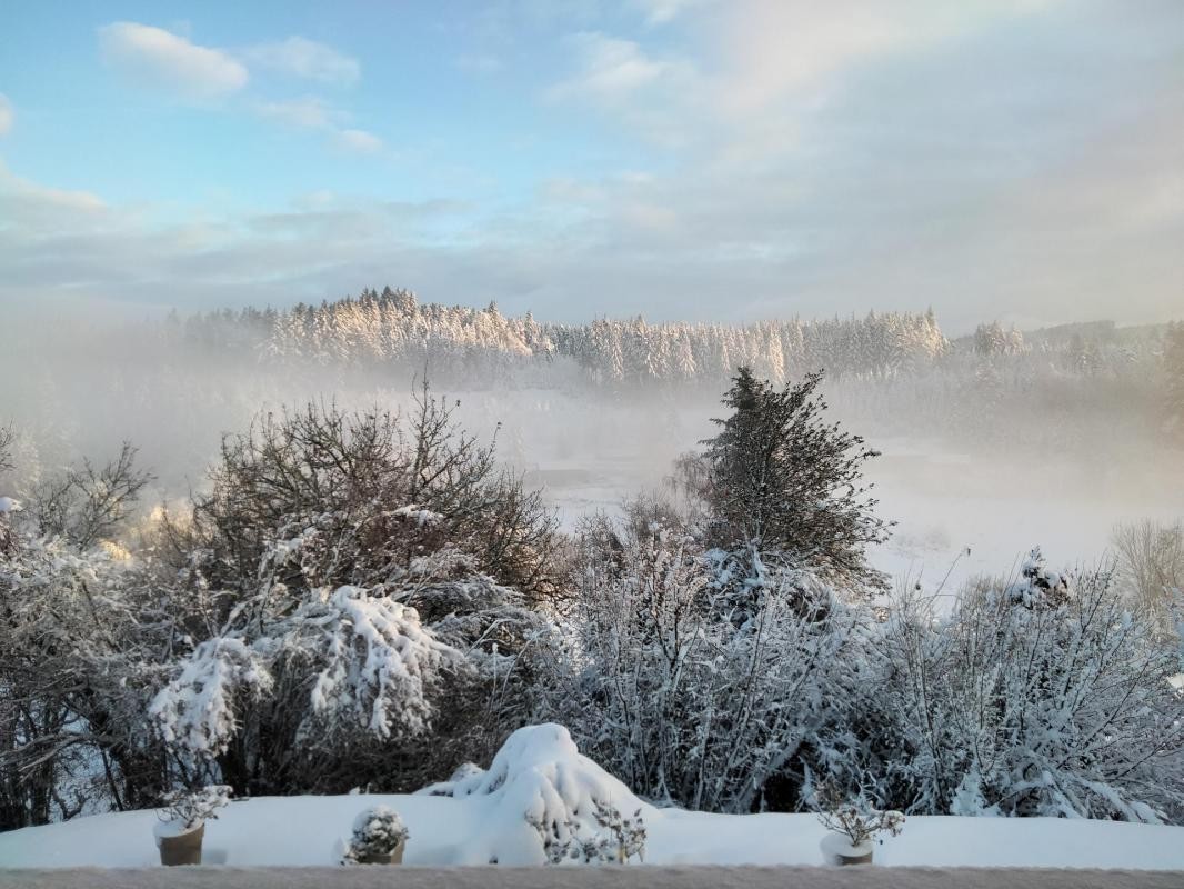 Vente Maison à Poule-les-Écharmeaux 6 pièces