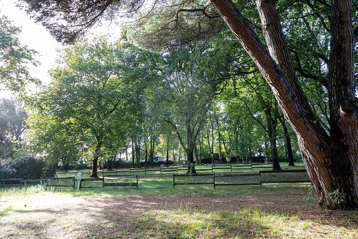 Vente Terrain à Meschers-sur-Gironde 0 pièce