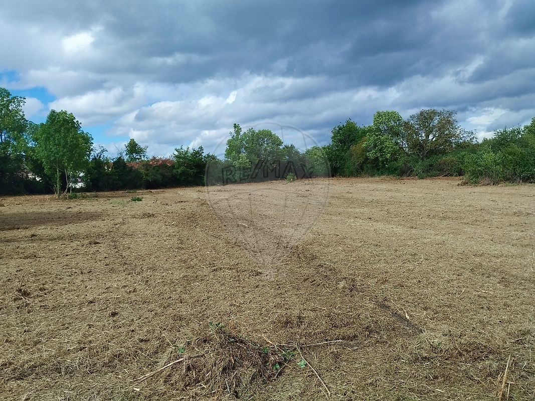 Vente Terrain à Gannat 0 pièce