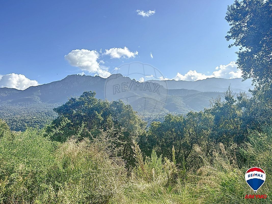 Vente Terrain à Tavaco 0 pièce