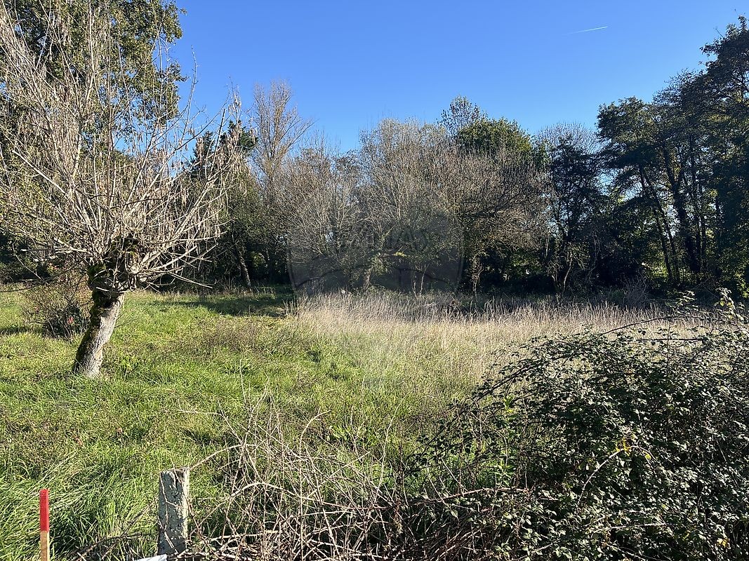 Vente Terrain à Martillac 0 pièce