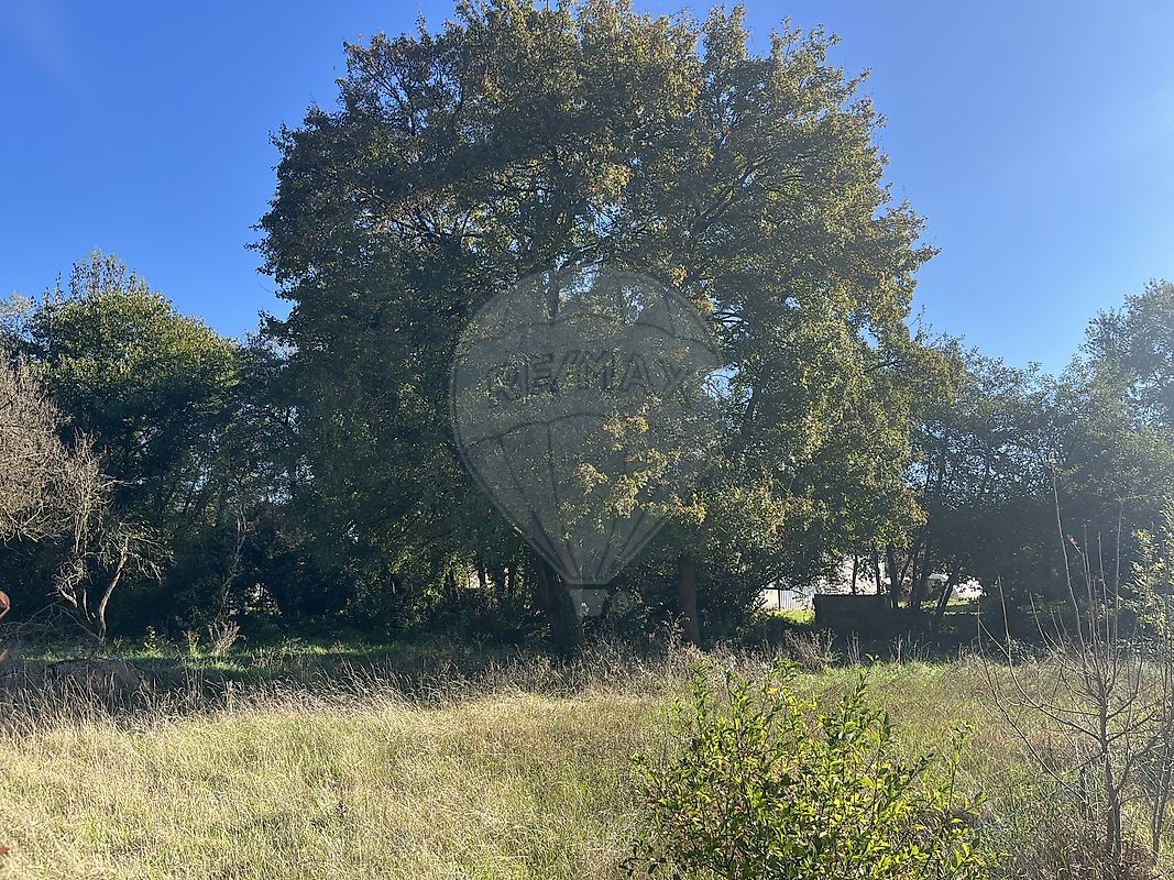 Vente Terrain à Martillac 0 pièce