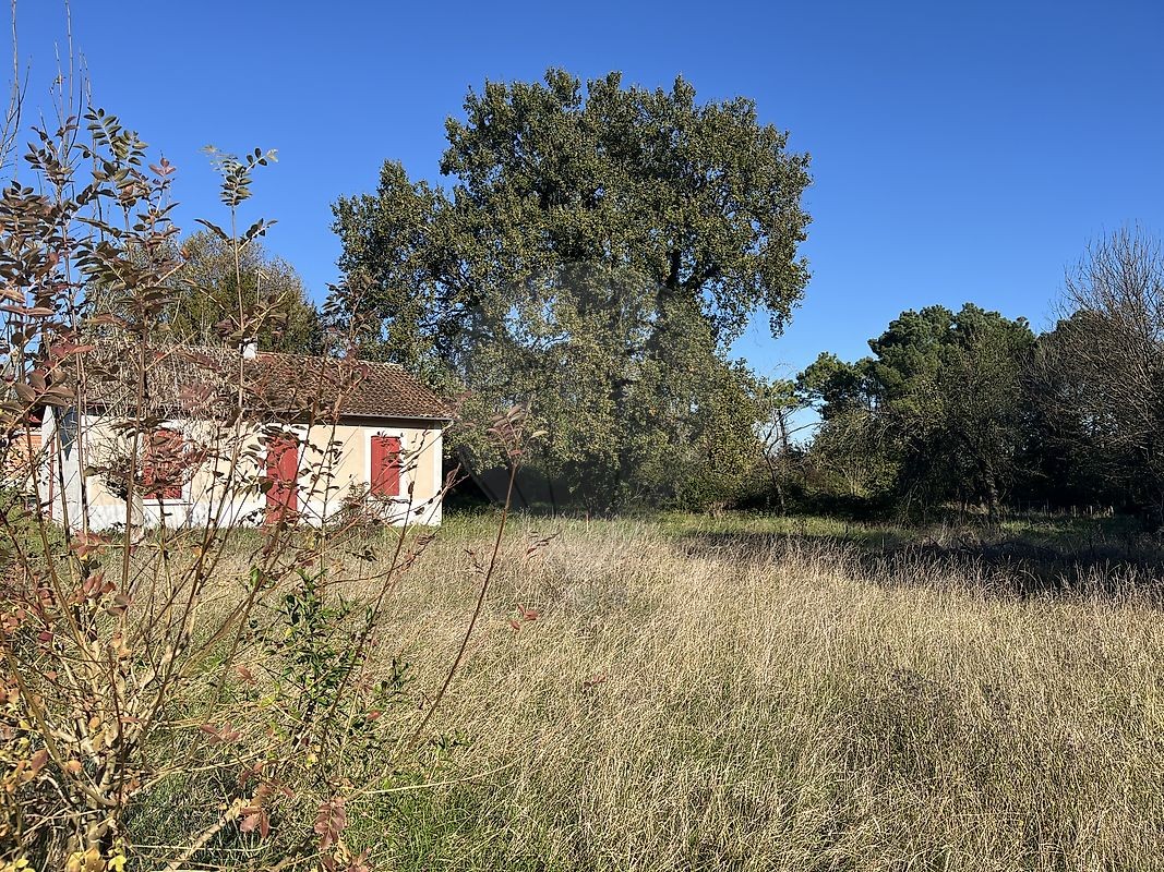 Vente Terrain à Martillac 0 pièce