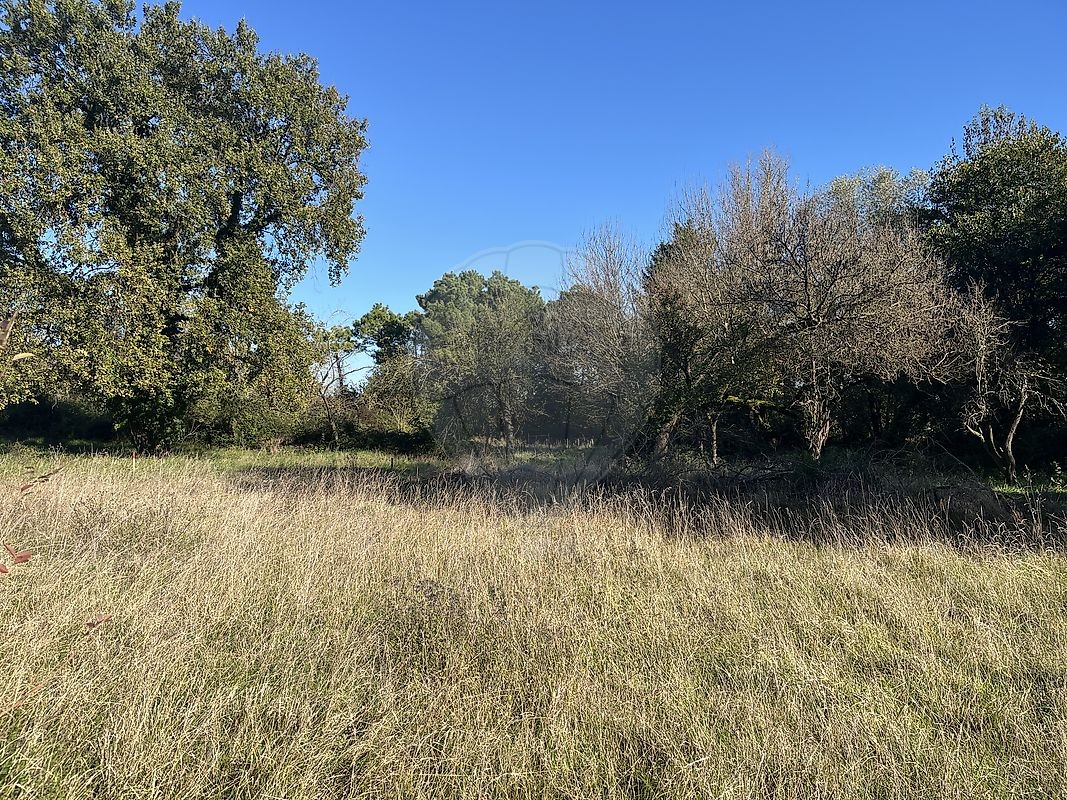 Vente Terrain à Martillac 0 pièce