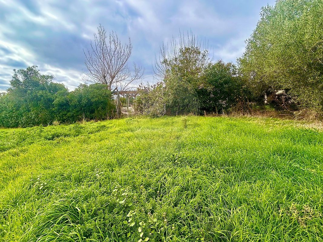 Vente Terrain à Pietroso 0 pièce