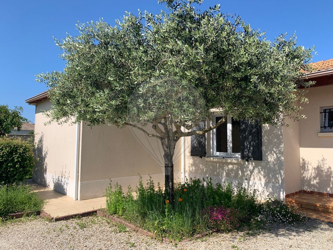 Vente Maison à Saint-Palais-sur-Mer 5 pièces