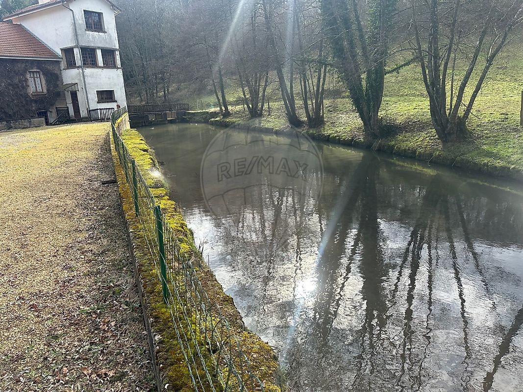 Vente Maison à Vittel 20 pièces