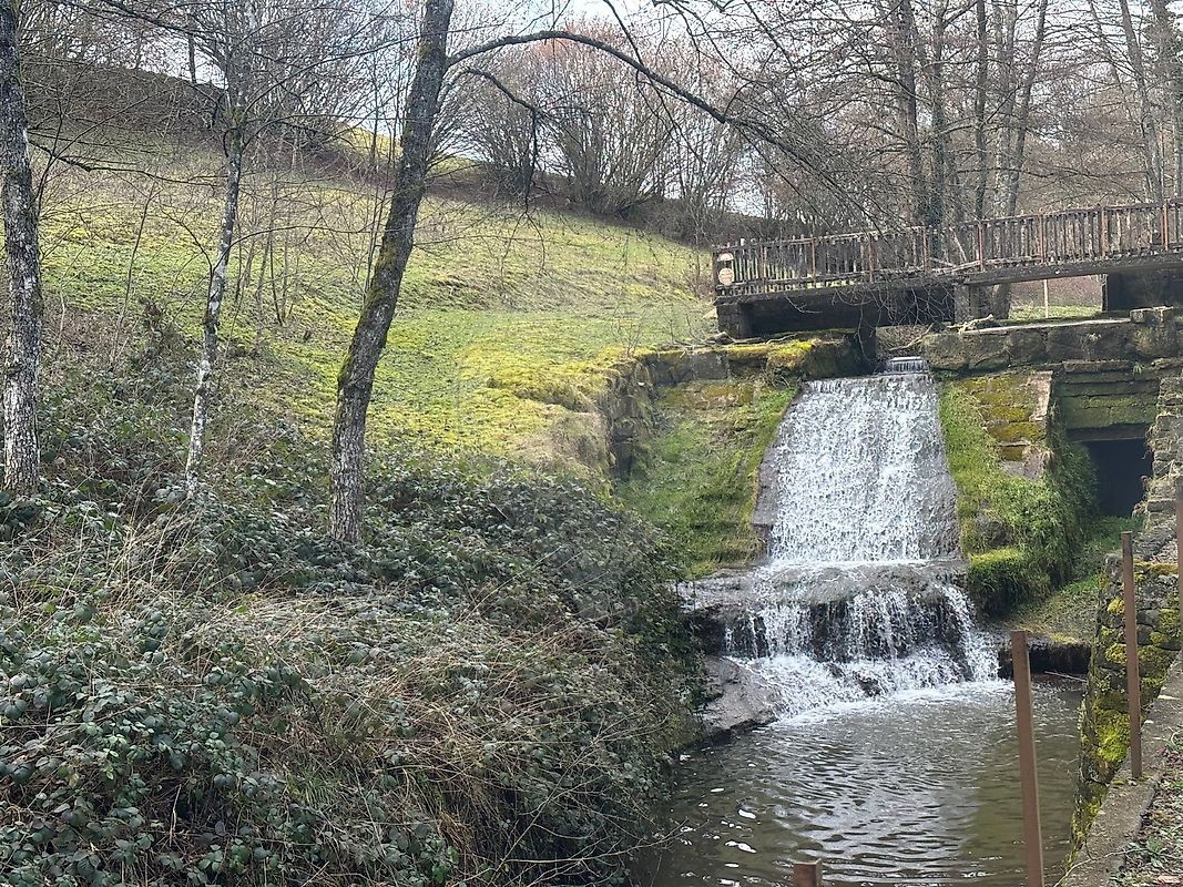 Vente Maison à Vittel 20 pièces