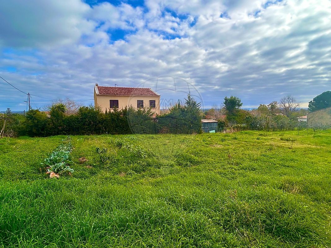 Vente Terrain à Pietroso 0 pièce