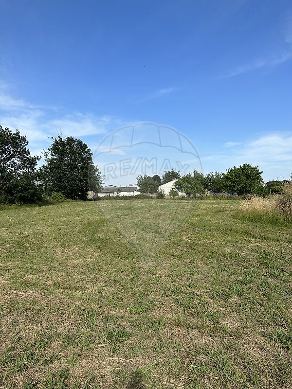 Vente Terrain à Saint-Germain-du-Bois 0 pièce