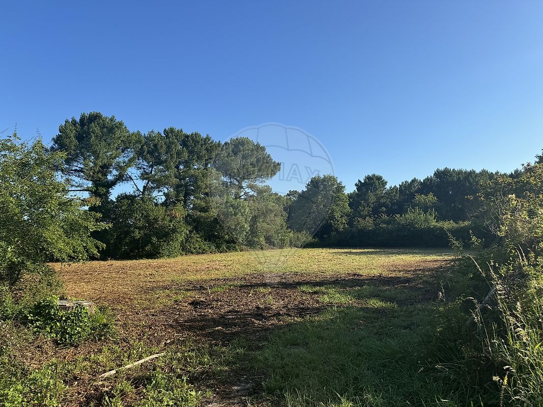 Vente Terrain à Arvert 0 pièce