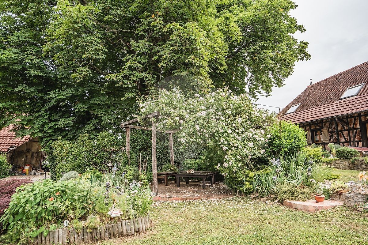 Vente Maison à le Planois 12 pièces