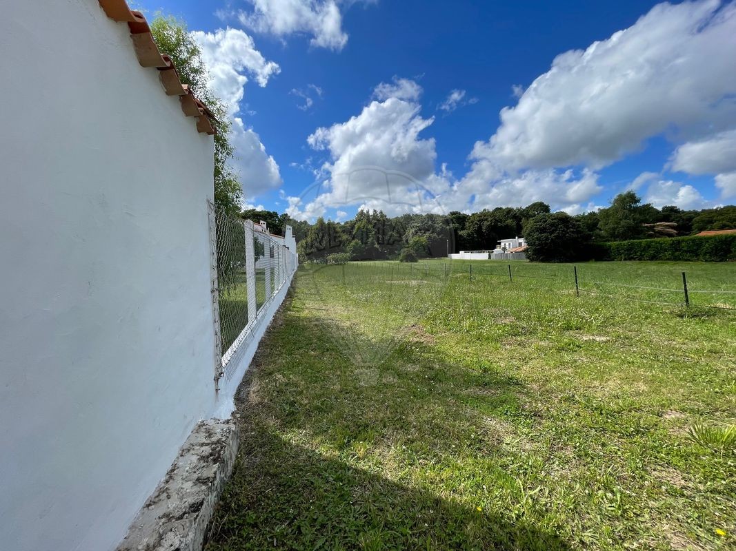 Vente Terrain à Saint-Palais-sur-Mer 0 pièce