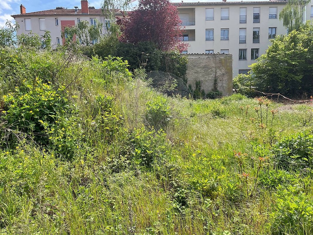 Vente Terrain à Villefranche-sur-Saône 0 pièce