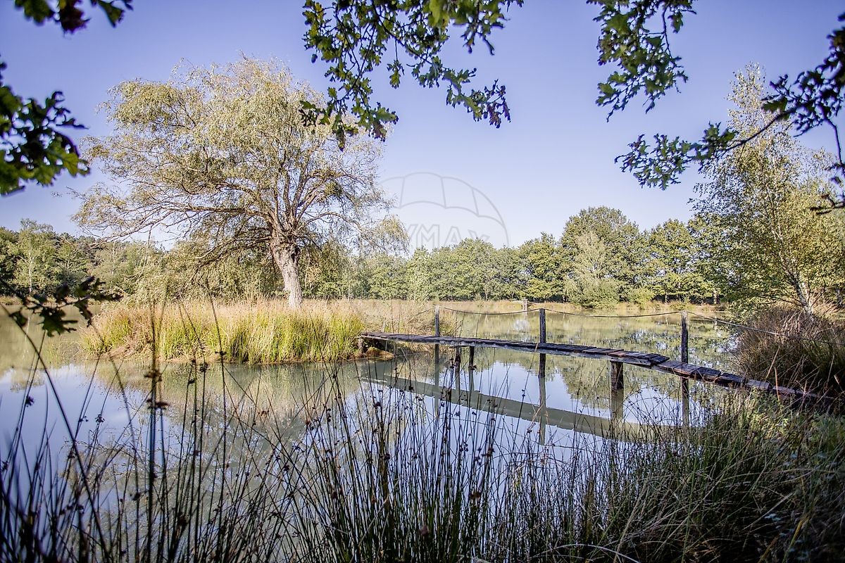 Vente Maison à Orléans 10 pièces