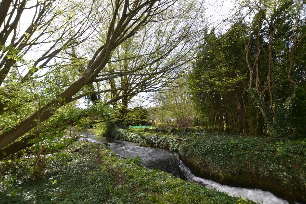 Vente Maison à Cany-Barville 10 pièces