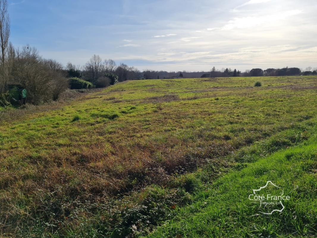 Vente Terrain à Estang 0 pièce