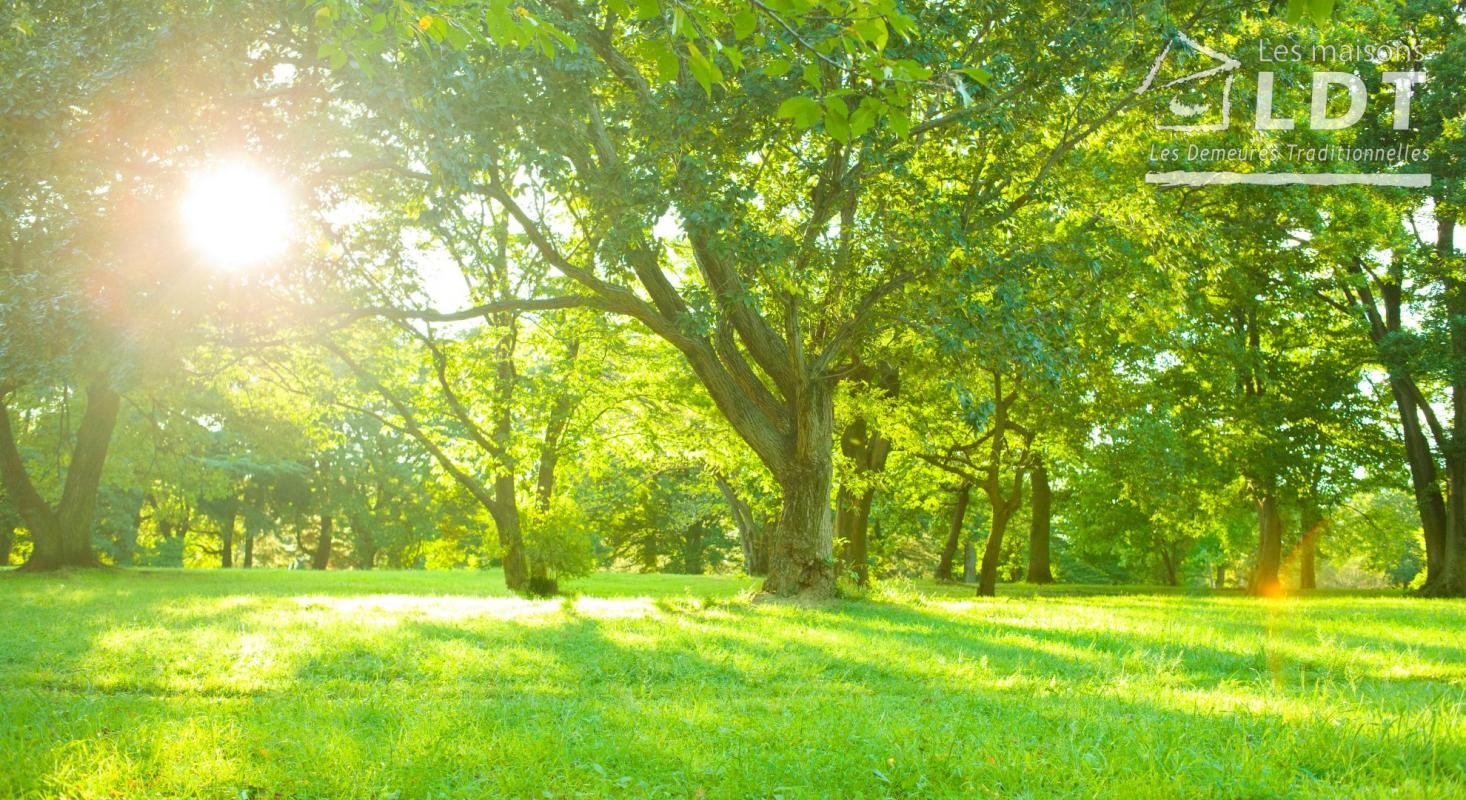 Vente Terrain à le Hamel 0 pièce