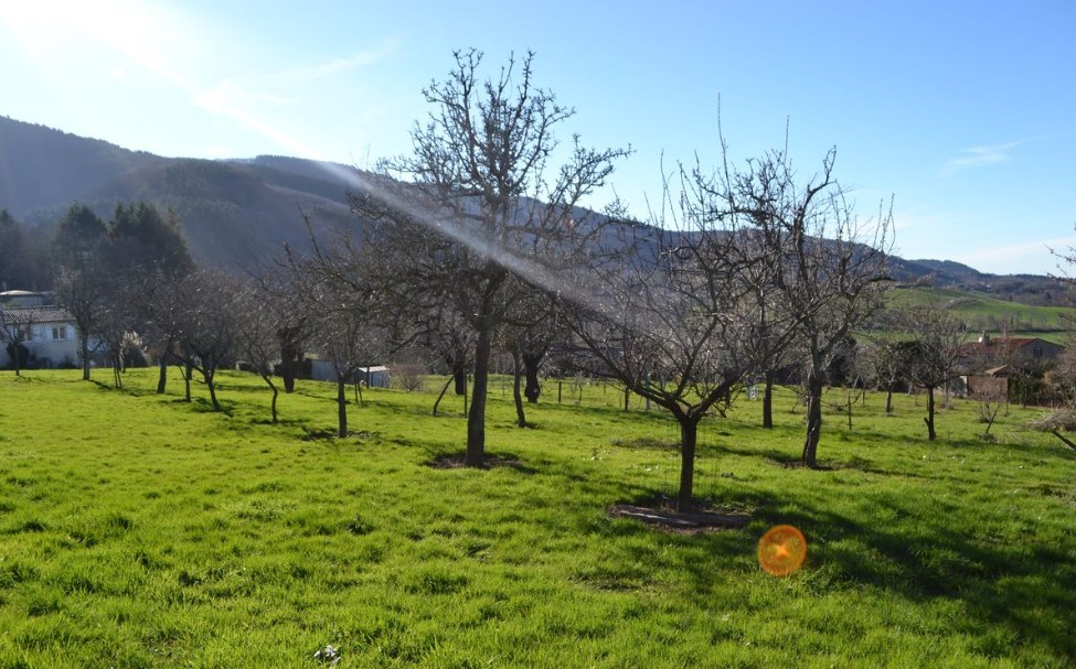 Vente Terrain à Aiguefonde 0 pièce