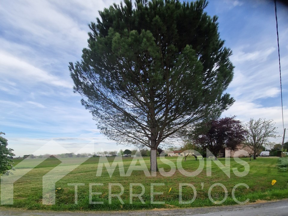 Construction Maison à Gaillac 0 pièce