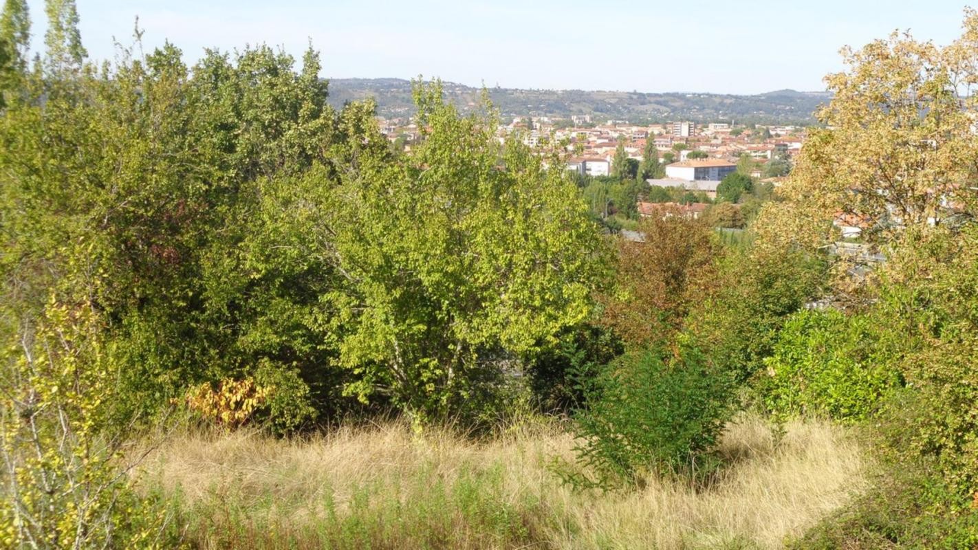 Vente Terrain à Albi 0 pièce