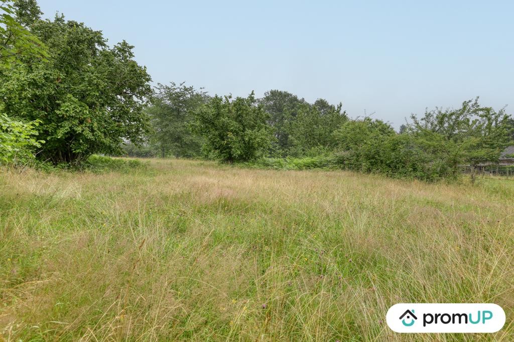 Vente Terrain à Oradour-sur-Vayres 0 pièce