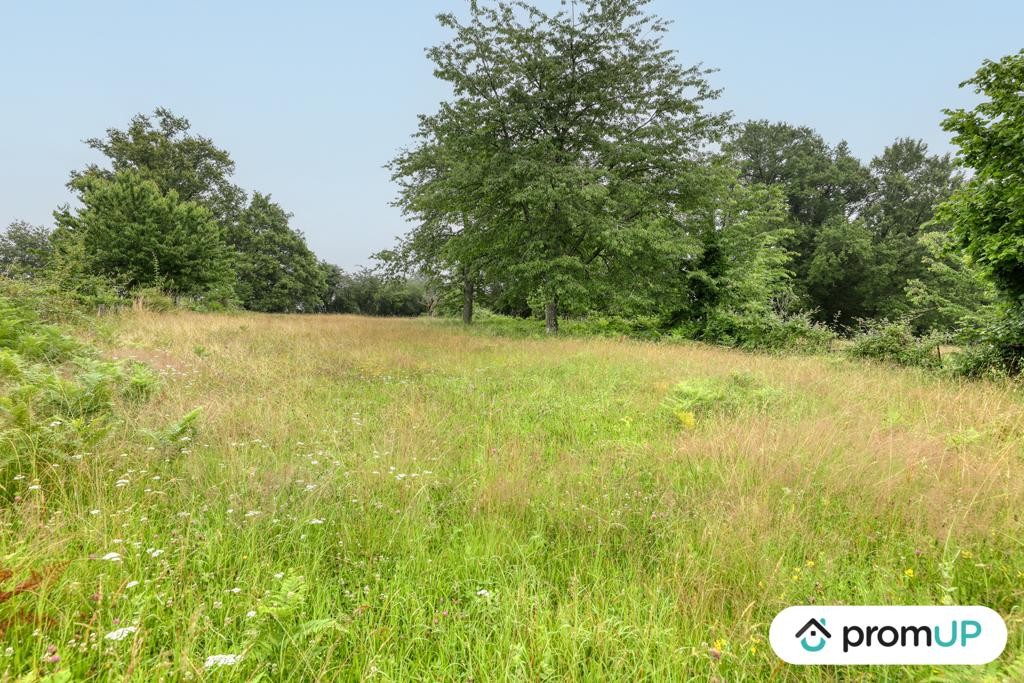 Vente Terrain à Oradour-sur-Vayres 0 pièce