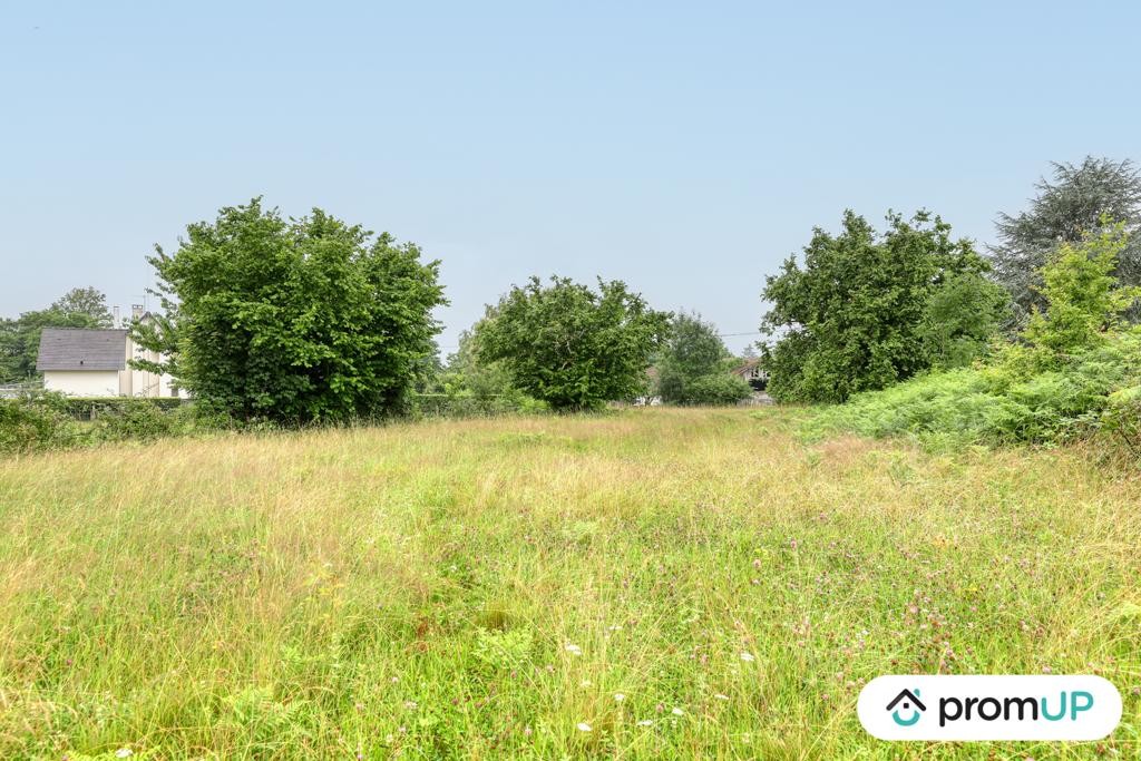 Vente Terrain à Oradour-sur-Vayres 0 pièce