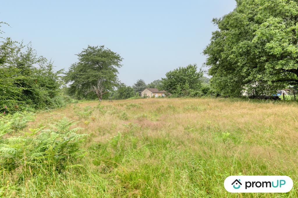 Vente Terrain à Oradour-sur-Vayres 0 pièce