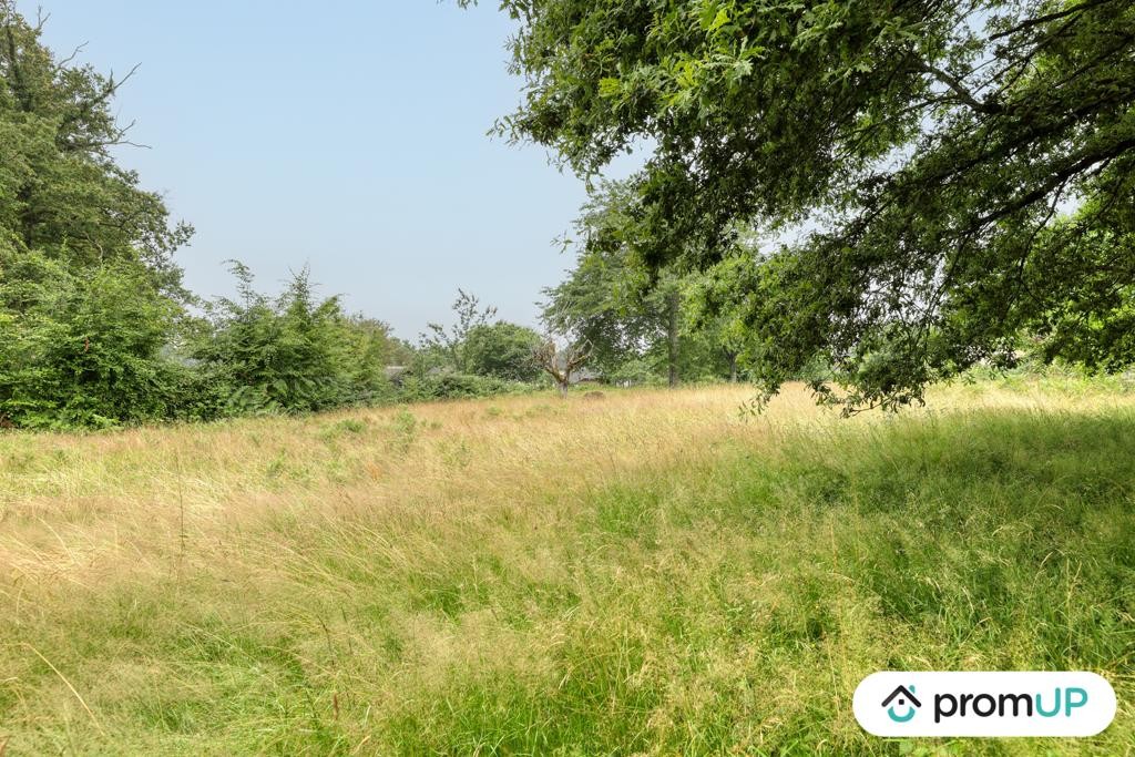 Vente Terrain à Oradour-sur-Vayres 0 pièce