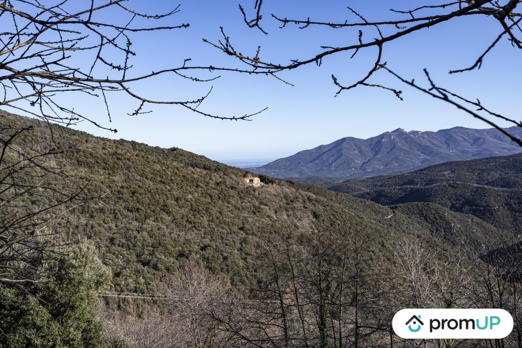 Vente Terrain à Maureillas-las-Illas 0 pièce