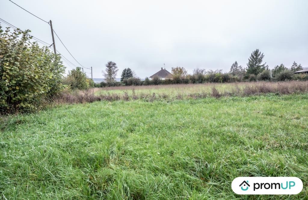 Vente Terrain à Ourouër 0 pièce