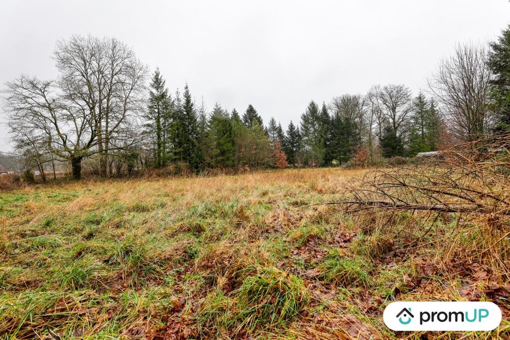 Vente Terrain à Peyrilhac 0 pièce