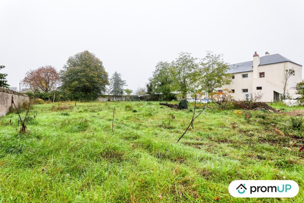 Vente Terrain à Chinon 0 pièce