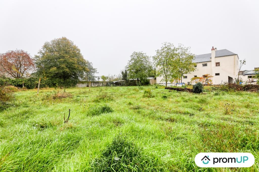 Vente Terrain à Chinon 0 pièce