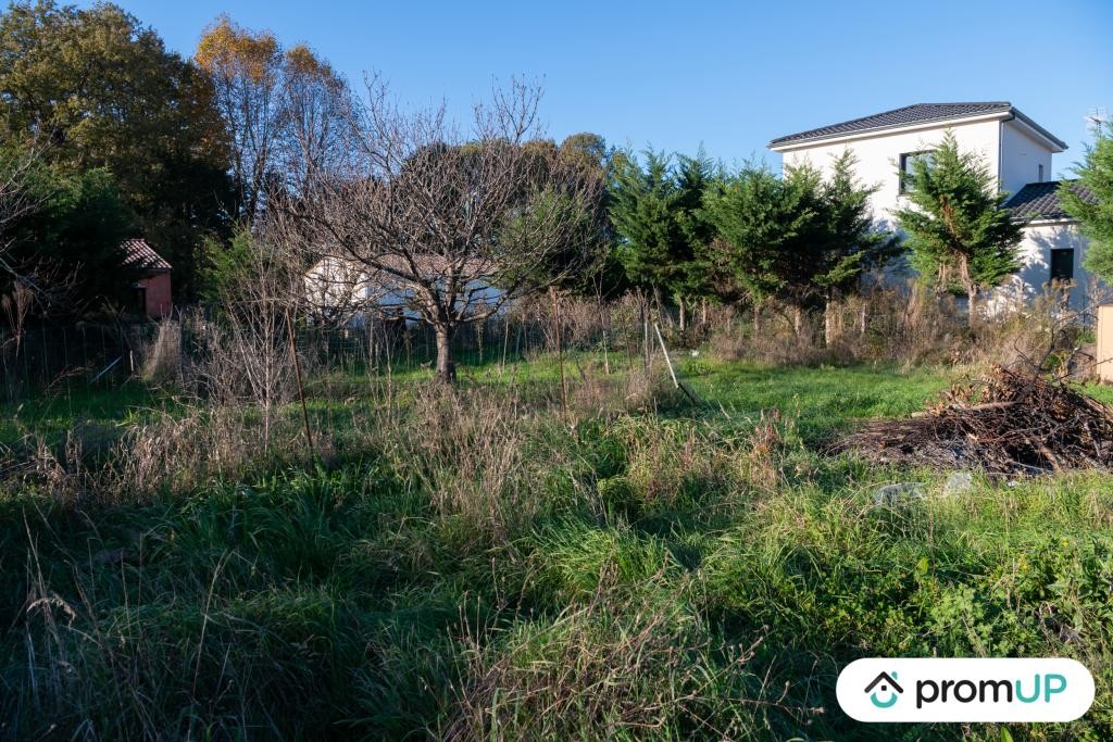 Vente Terrain à Montbeton 0 pièce