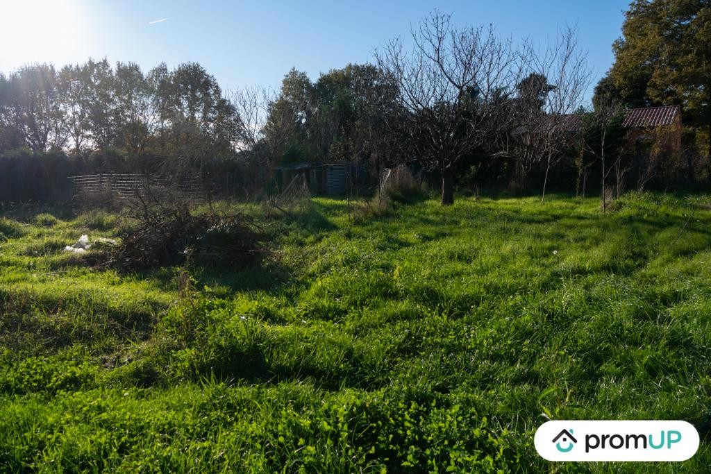 Vente Terrain à Montbeton 0 pièce