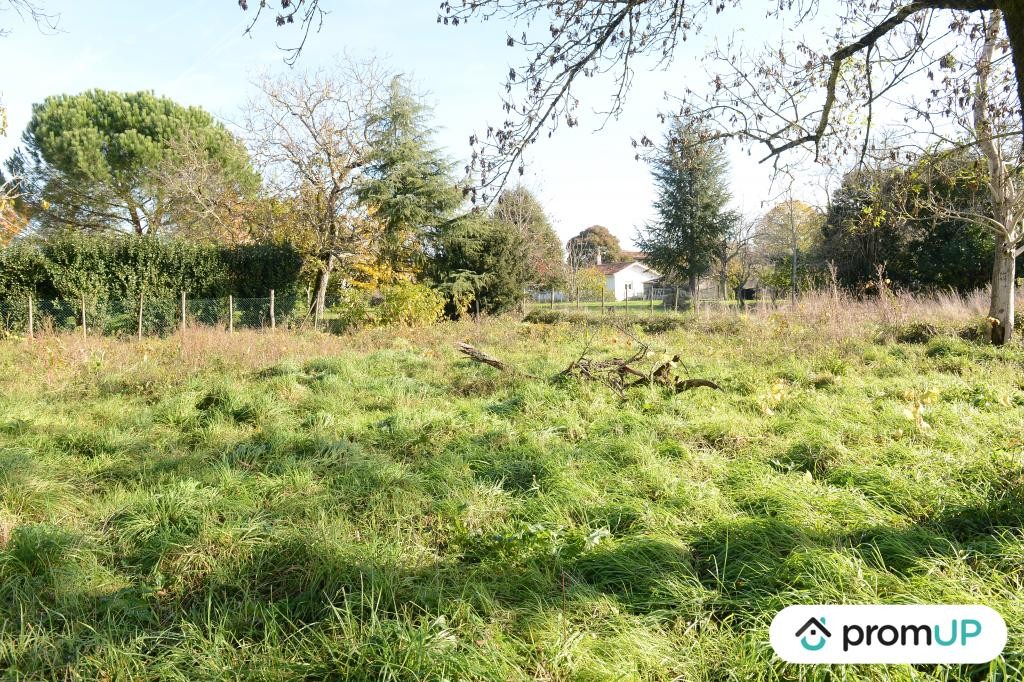 Vente Terrain à Béguey 0 pièce