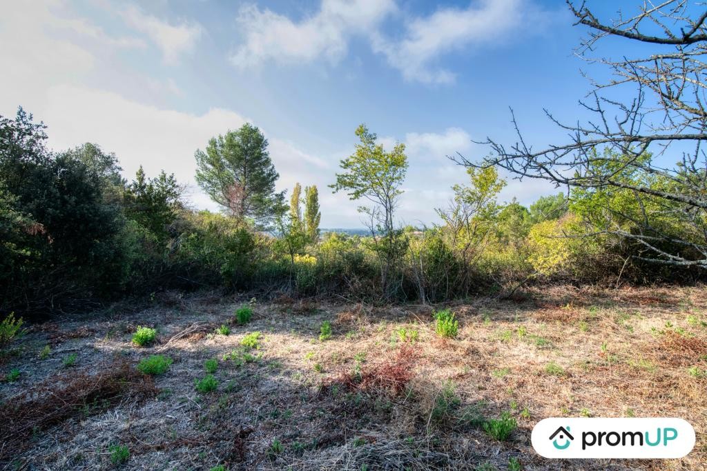 Vente Terrain à Caunes-Minervois 0 pièce