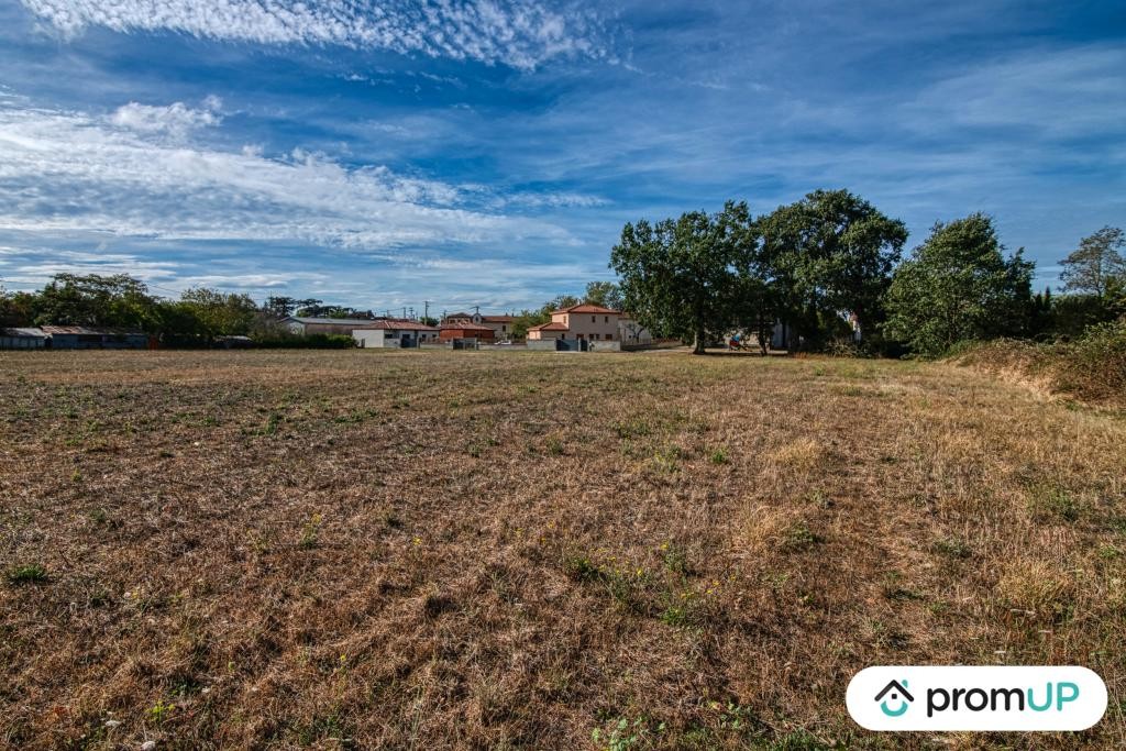 Vente Terrain à Cintegabelle 0 pièce