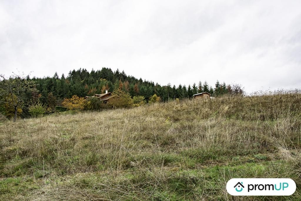 Vente Terrain à Ambert 0 pièce