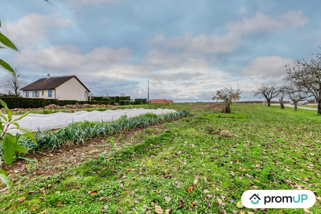 Vente Terrain à Magny-sur-Tille 0 pièce