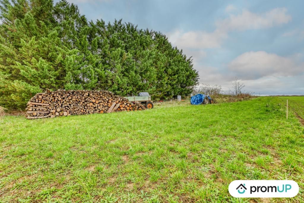 Vente Terrain à Magny-sur-Tille 0 pièce