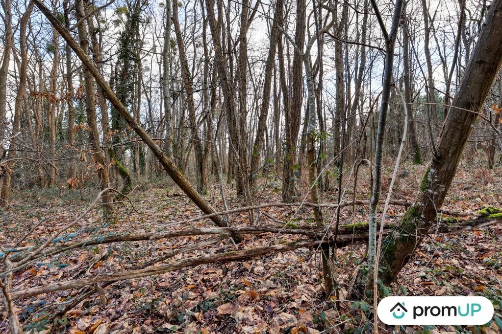 Vente Terrain à Châtillon-sur-Cher 0 pièce