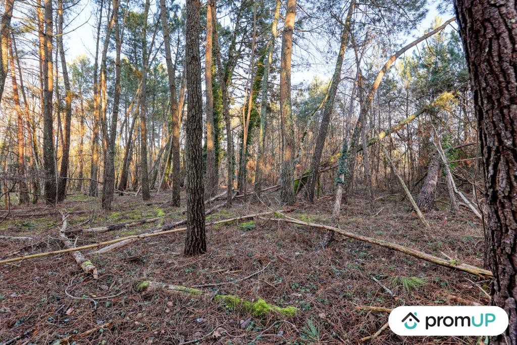 Vente Terrain à Châtillon-sur-Cher 0 pièce