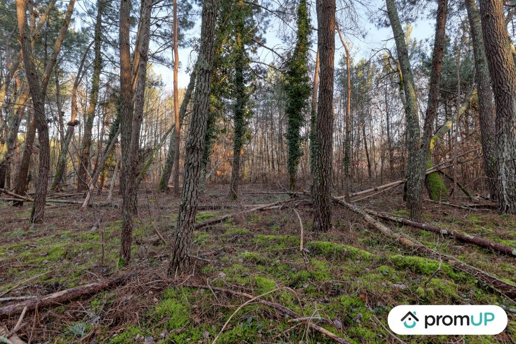 Vente Terrain à Châtillon-sur-Cher 0 pièce