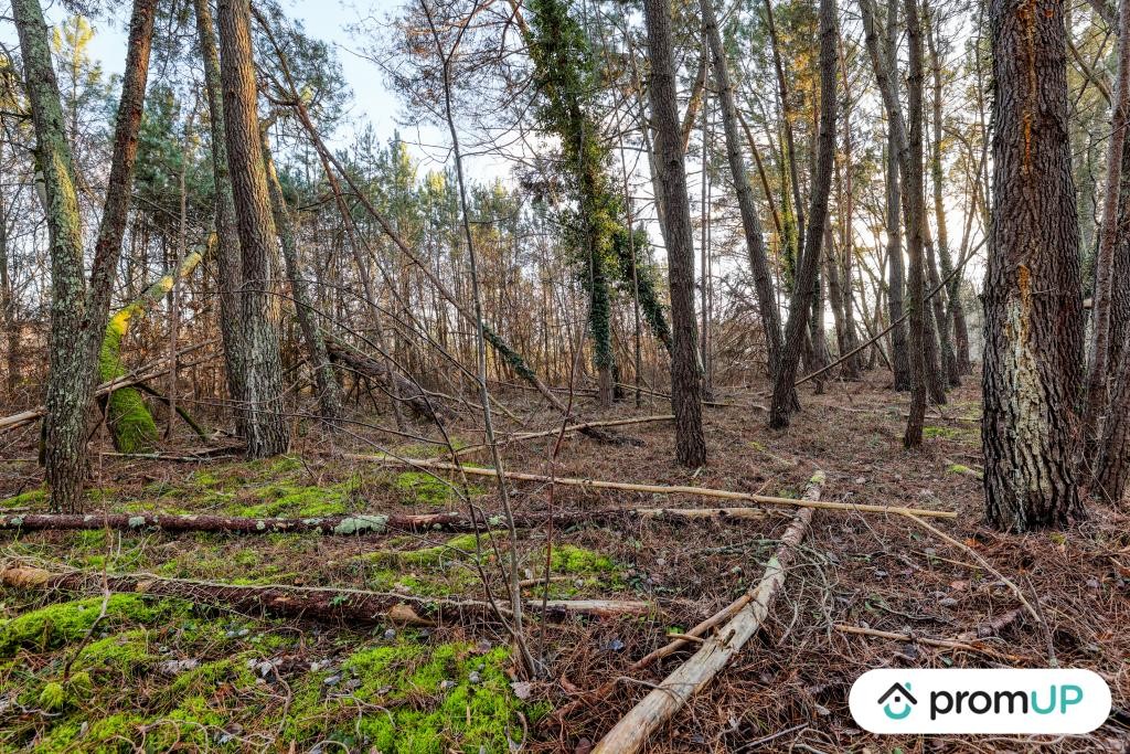 Vente Terrain à Châtillon-sur-Cher 0 pièce