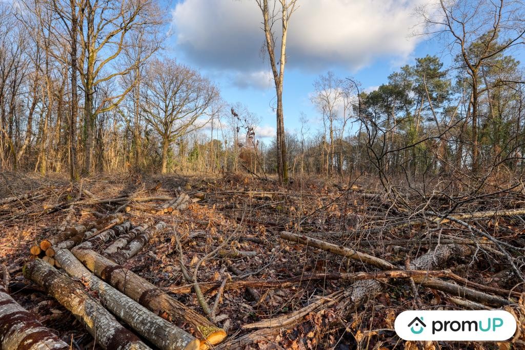 Vente Terrain à Châtillon-sur-Cher 0 pièce