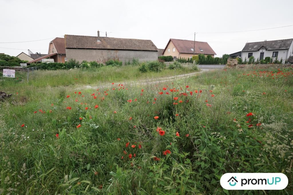 Vente Terrain à Hirtzfelden 0 pièce