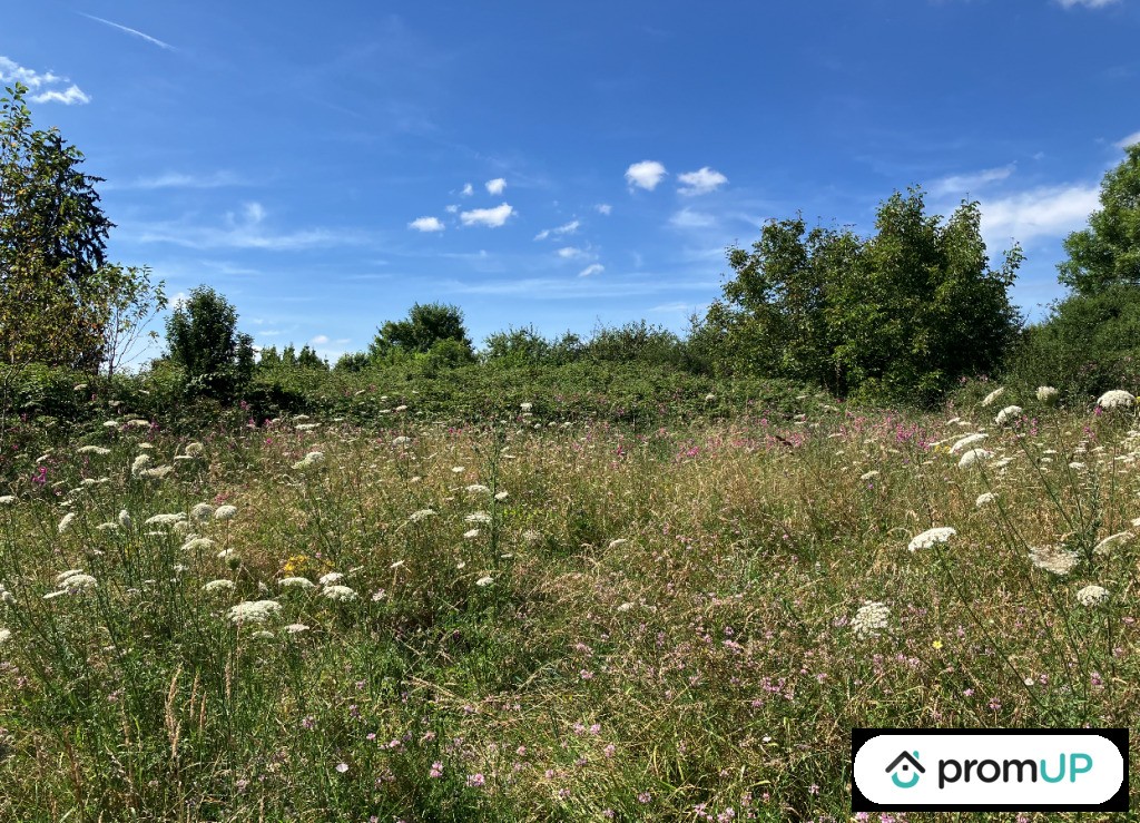 Vente Terrain à la Souterraine 0 pièce